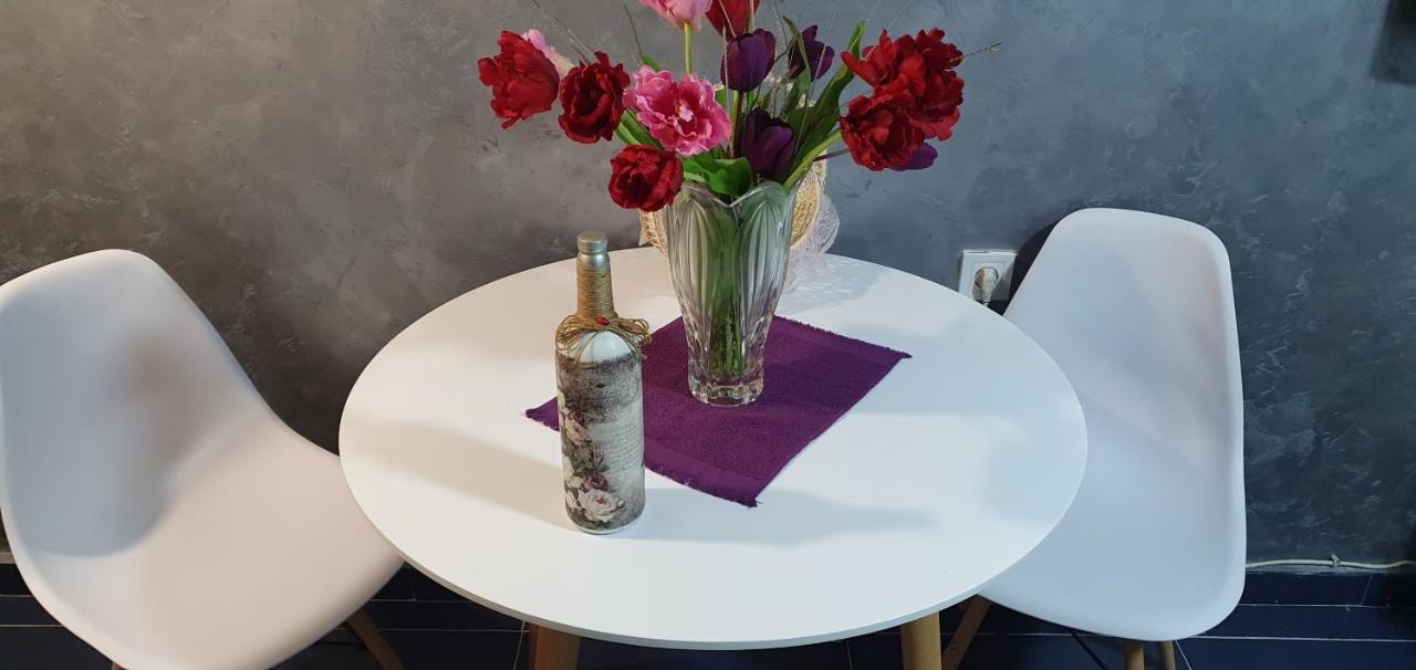 Cozzy Apartment Near The Aiport Podgorica Mitrovici  Luaran gambar